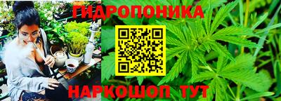 эйфоретик Коммунар