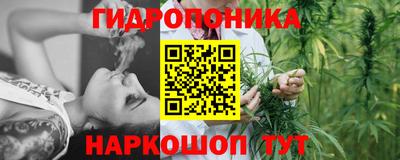 эйфоретик Коммунар