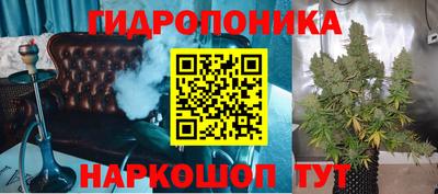 индика Комсомольск-на-Амуре