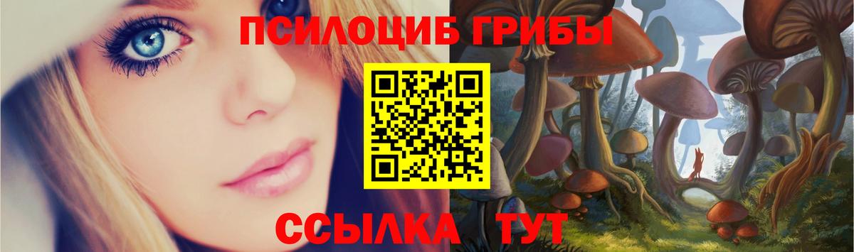 Качканар  Галлюциногенные грибы прущие грибы  Вход с VPN 